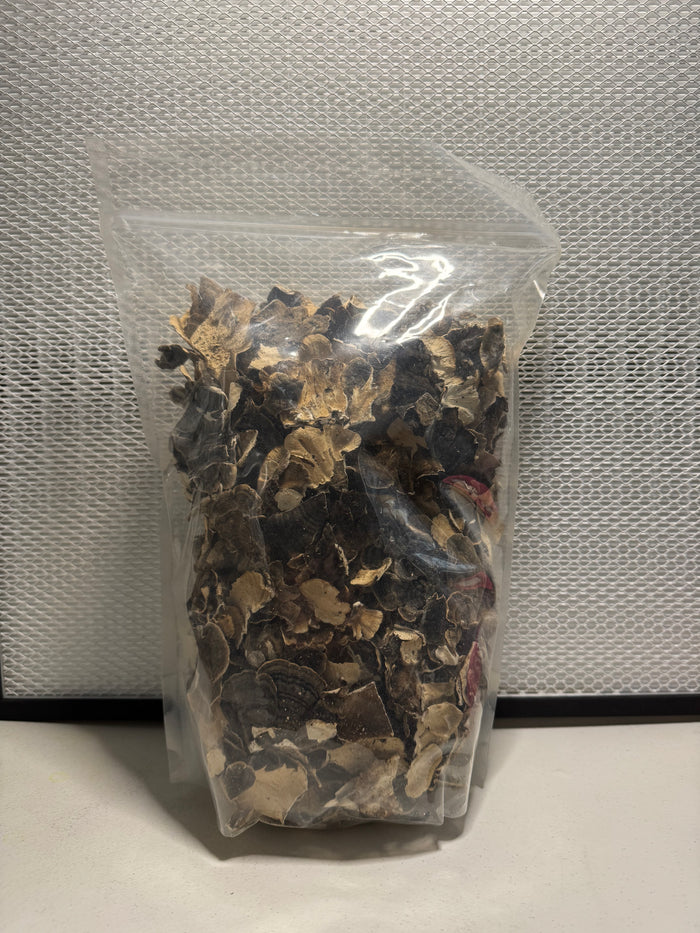Dried Turkey Tail Mushroom (Trametes versicolor) – Whole Fruiting Body