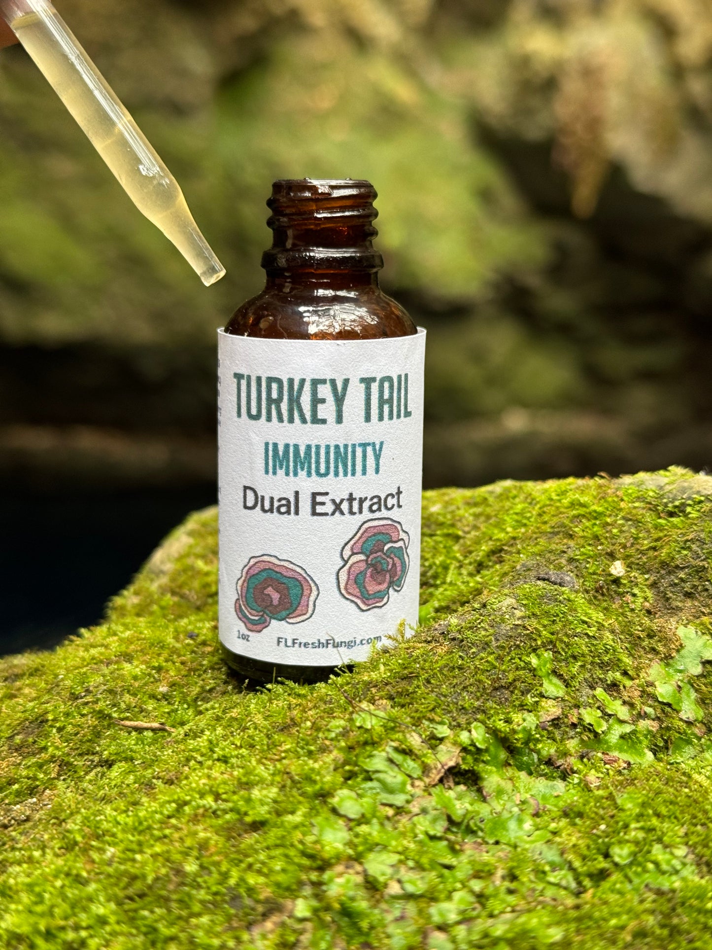 Turkey Tail Dual Extract (1oz)
