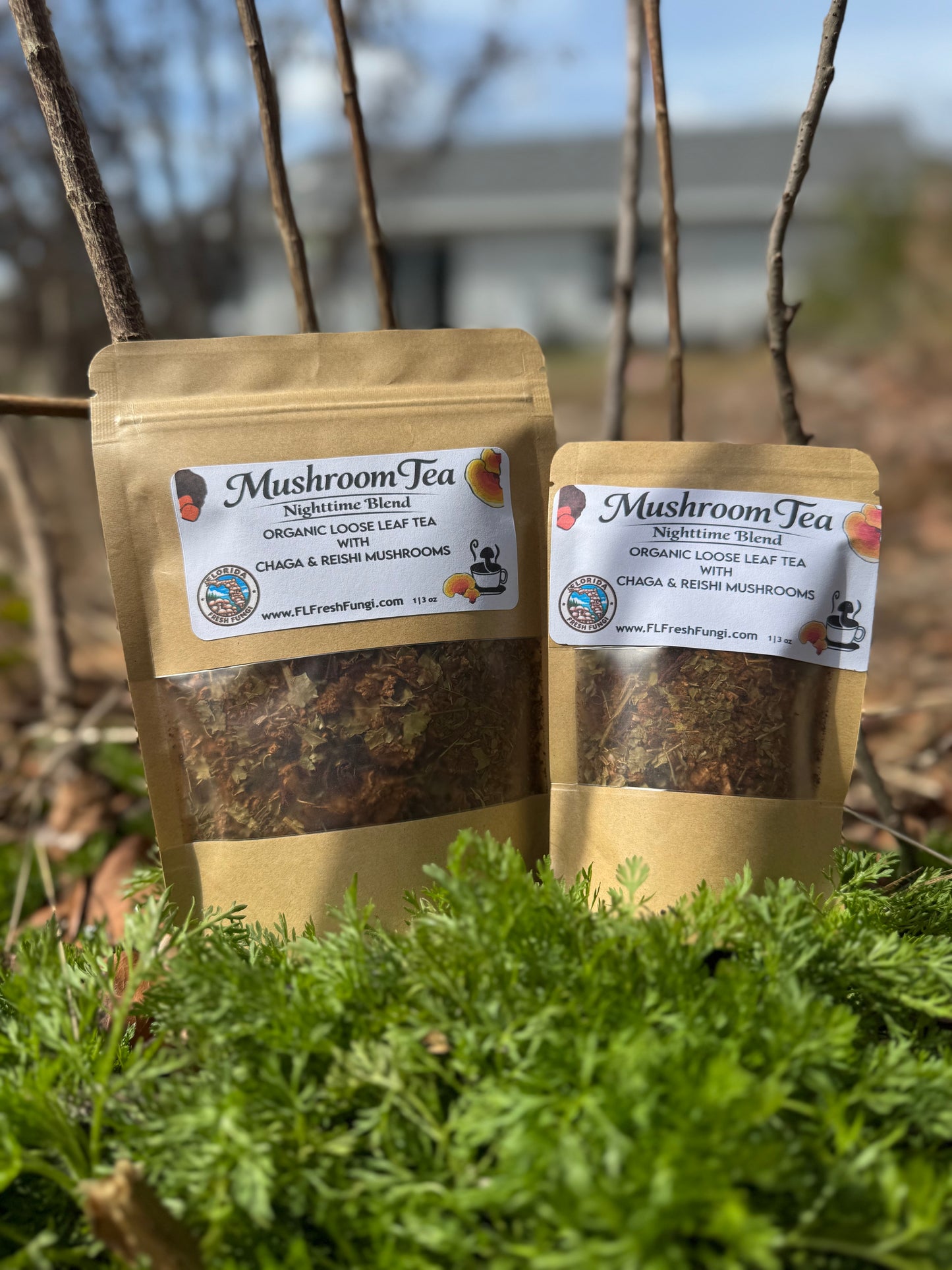 Nighttime Mushroom Tea