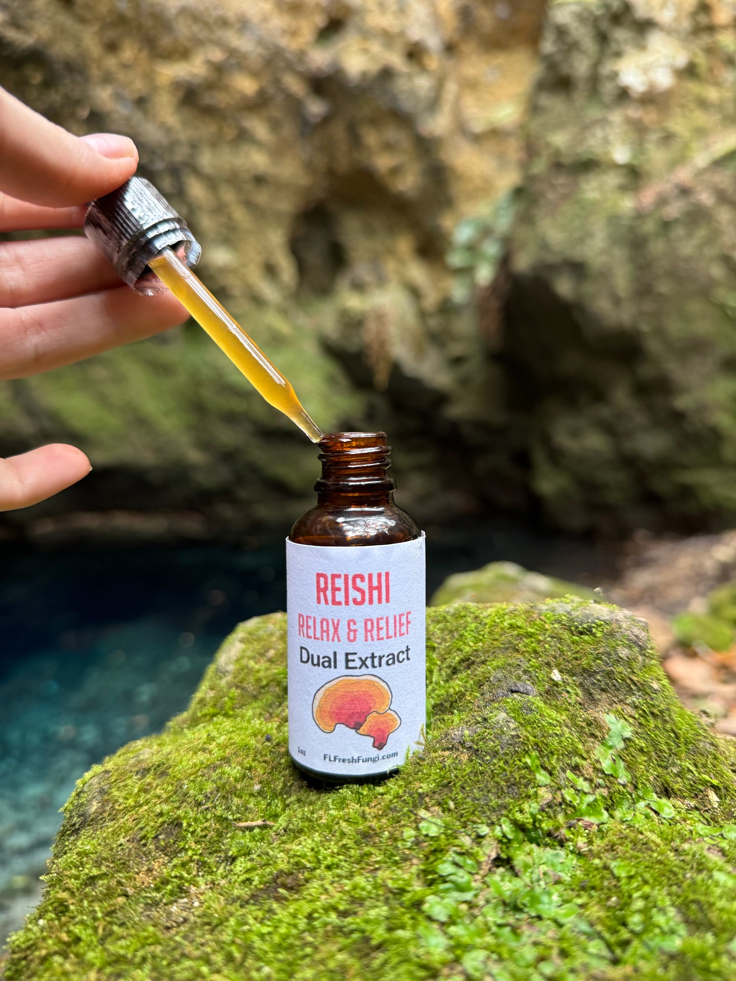 Reishi Dual Extract (1oz)