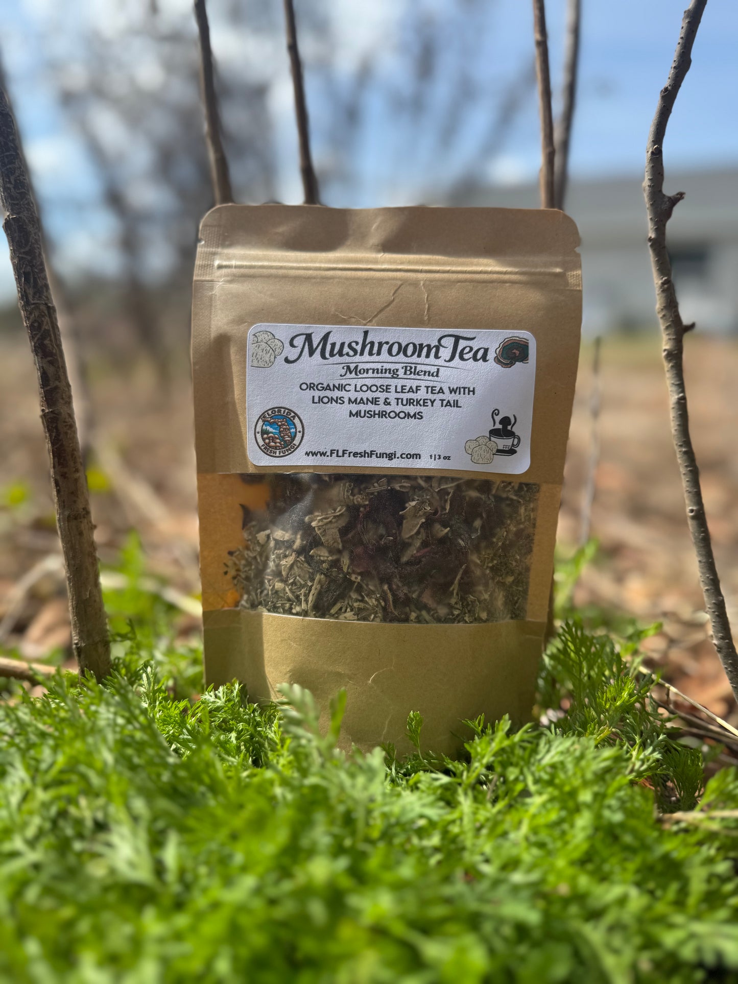 Morning Mushroom Tea