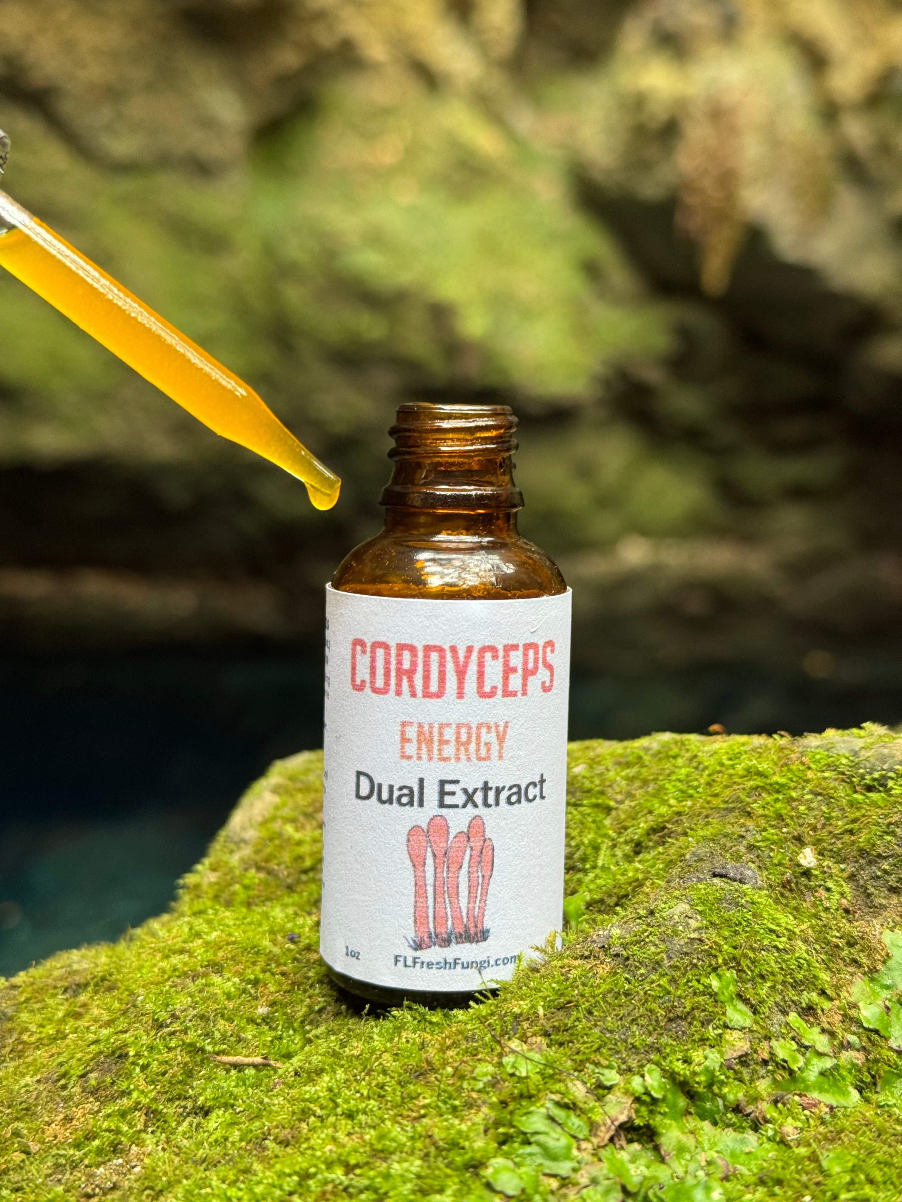 Cordyceps Dual Extract (1oz) – Florida Fresh Fungi