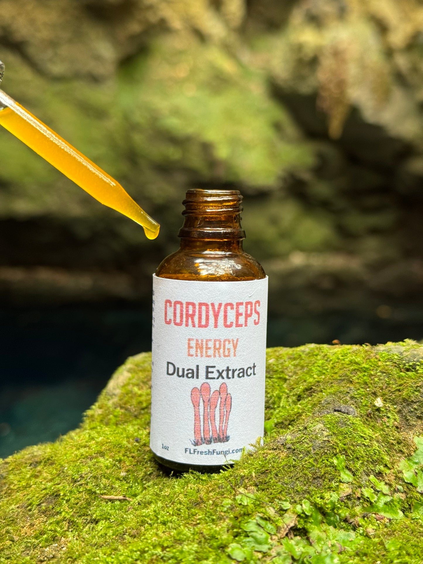 Cordyceps Dual Extract (1oz)