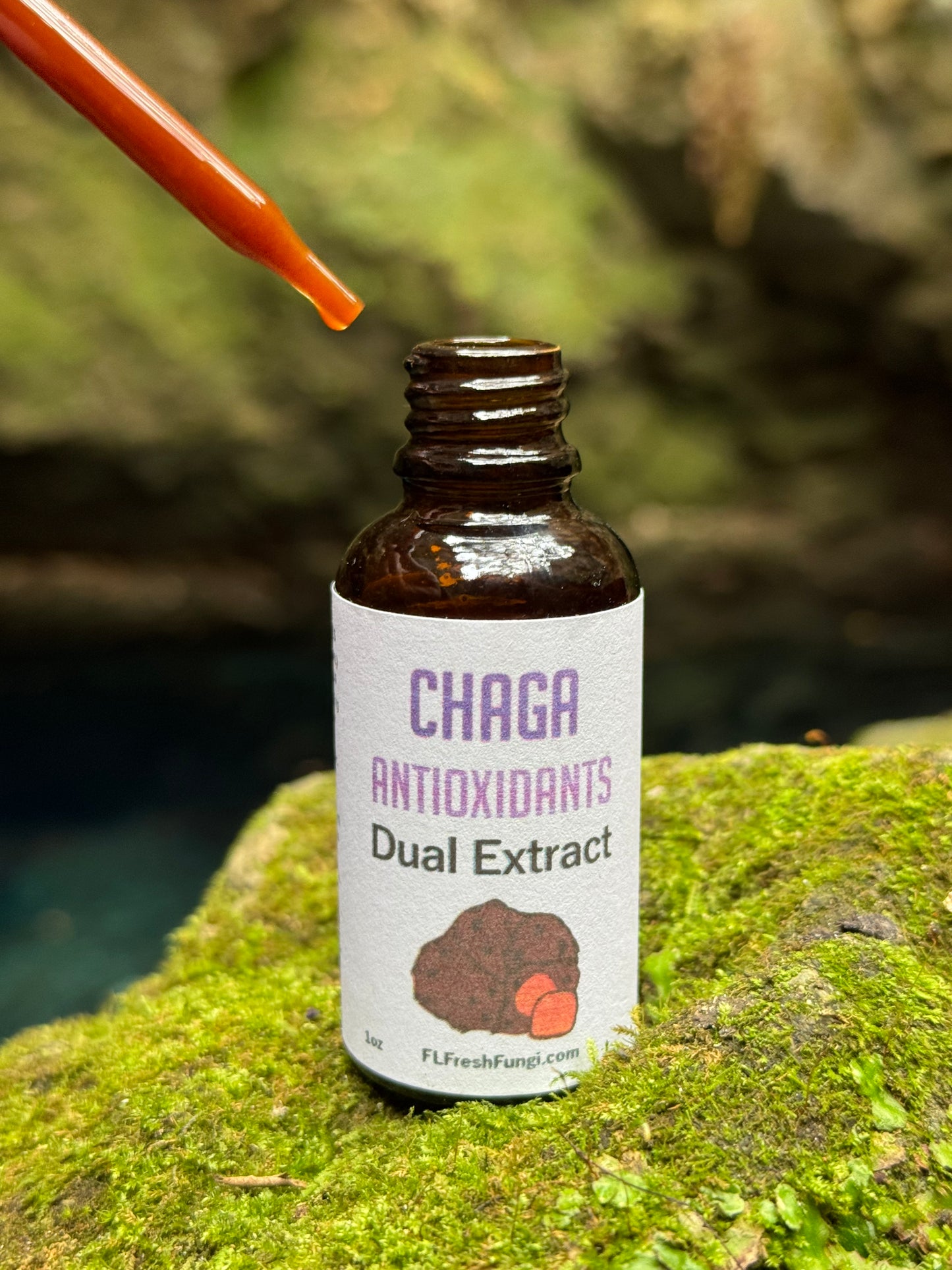 Chaga Dual Extract (1oz)