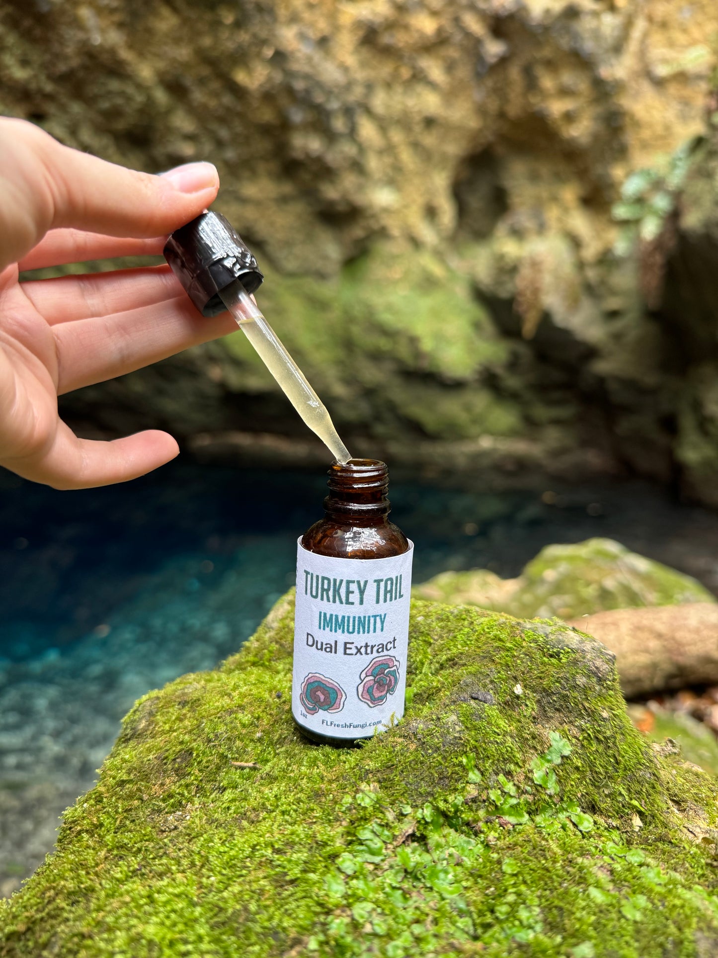 Turkey Tail Dual Extract (1oz)