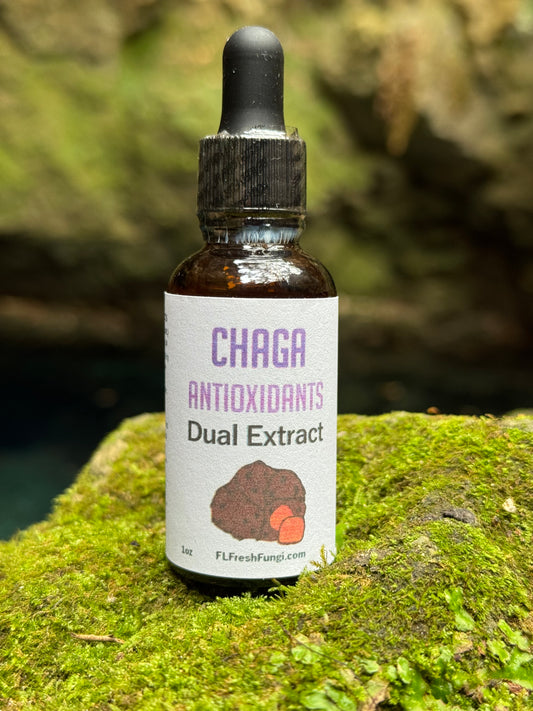 Chaga Dual Extract (1oz)