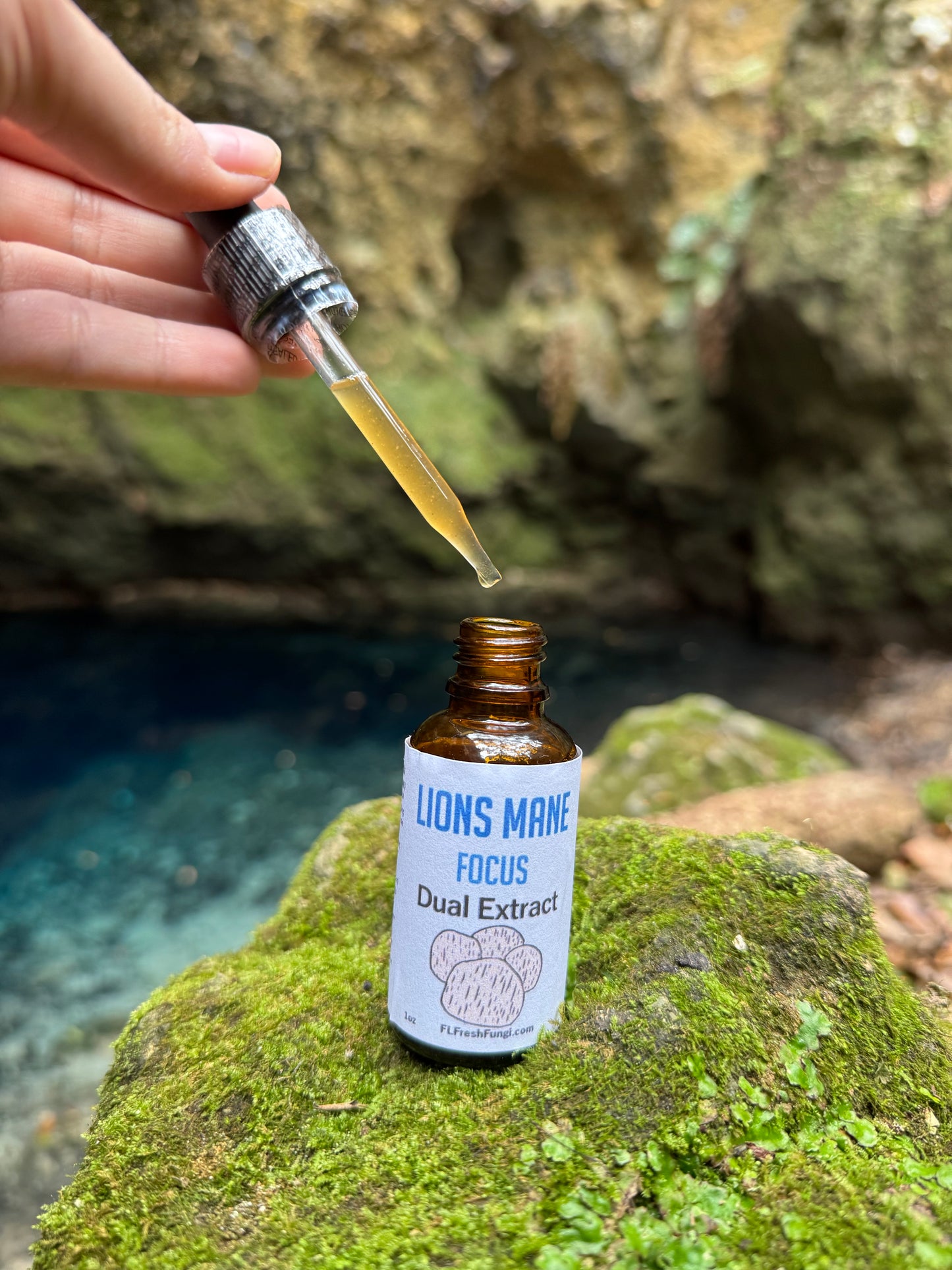 Lions Mane Dual Extract (1oz)