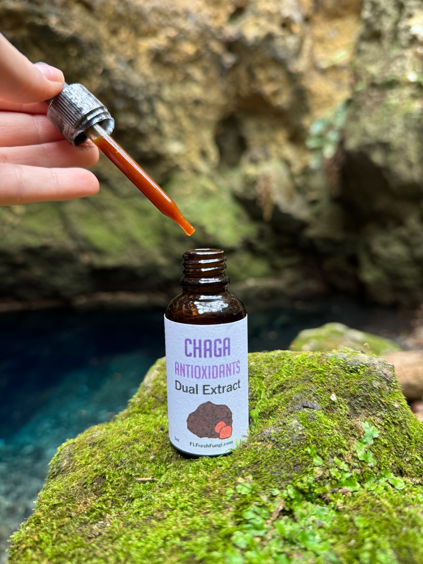 Chaga Dual Extract (1oz)