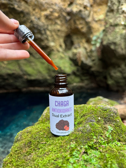Chaga Dual Extract (1oz)