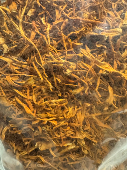 Dried Cordyceps Mushroom (Cordyceps militaris) – Whole Fruiting Body