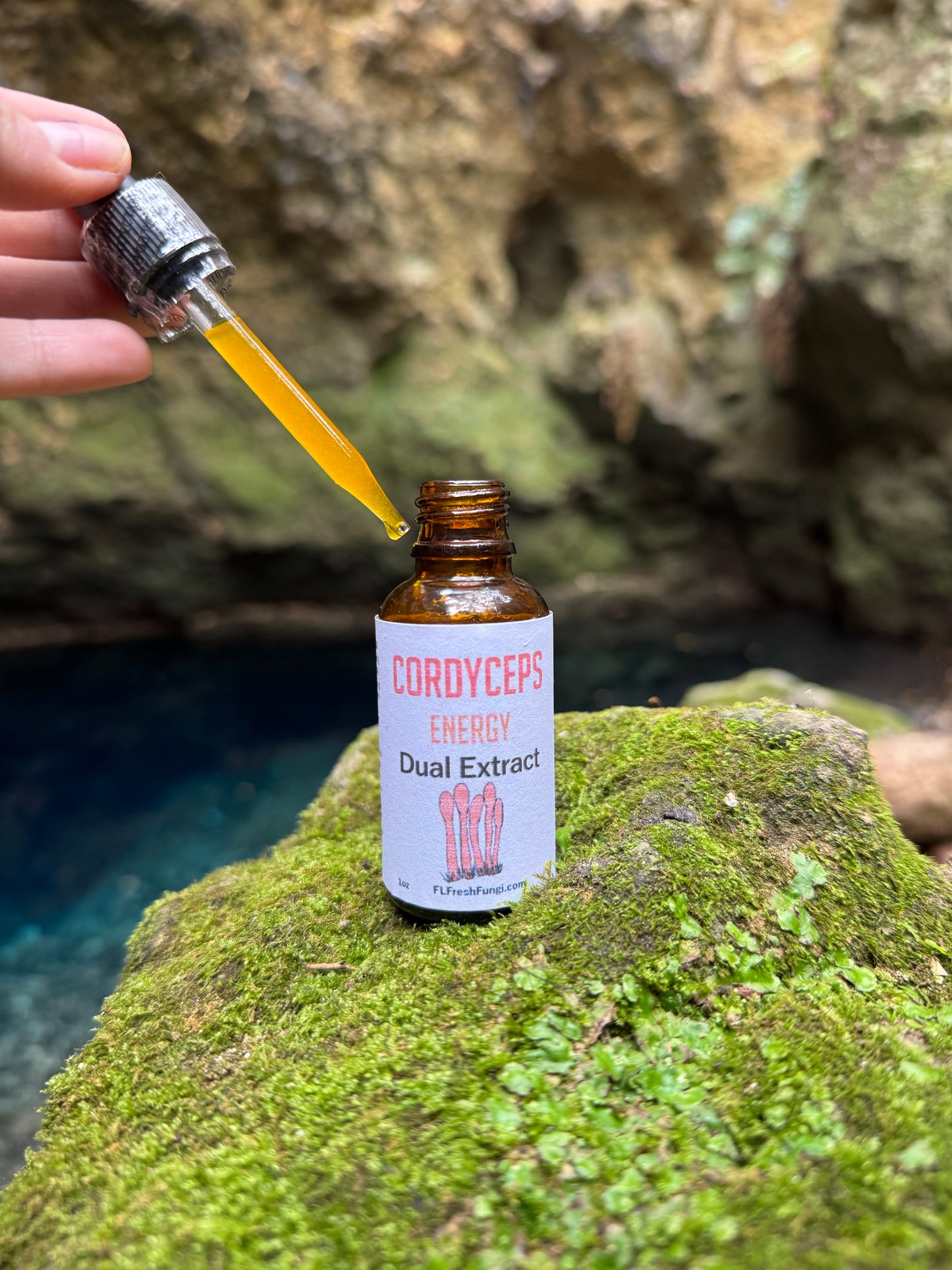 Cordyceps Dual Extract (1oz)