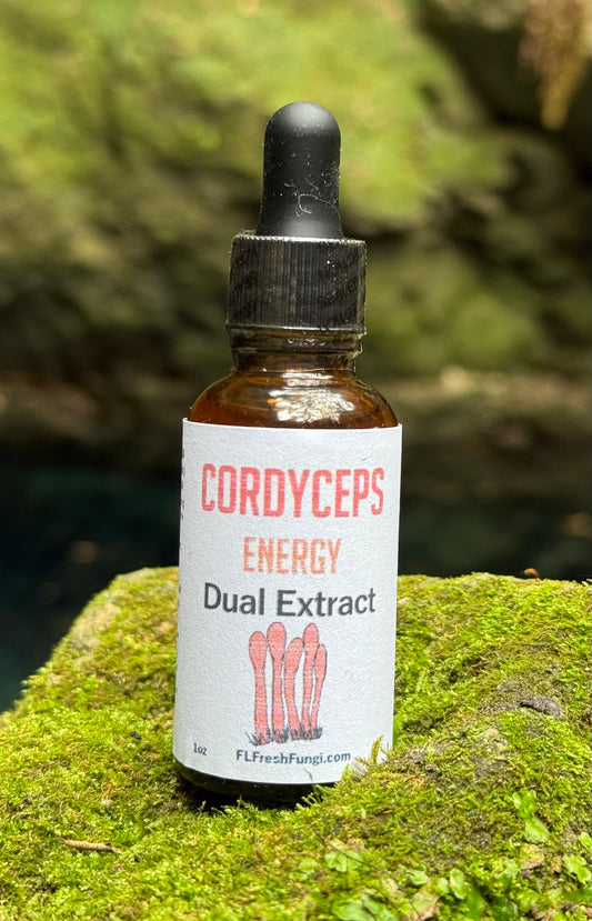 Cordyceps Dual Extract (1oz)