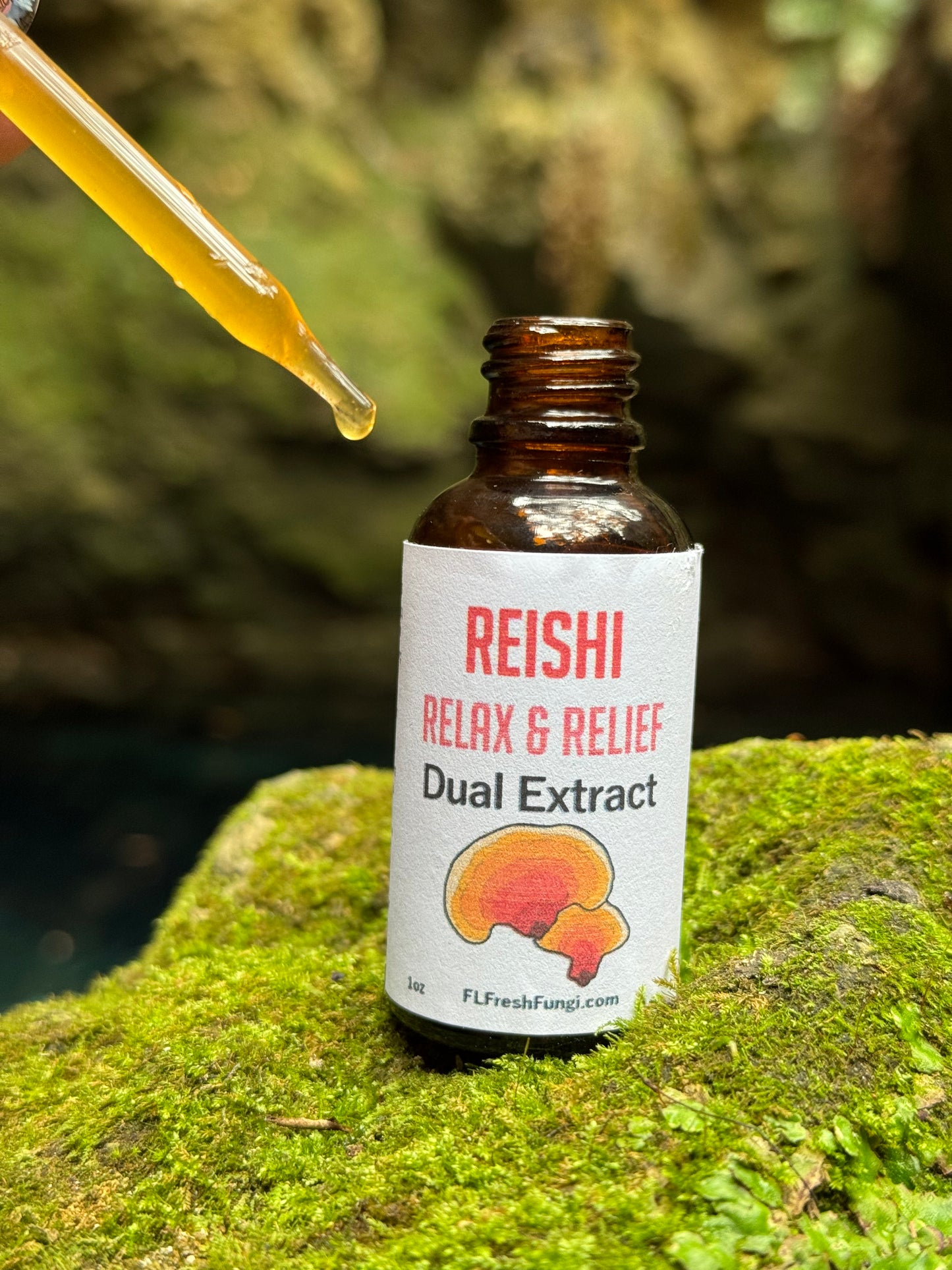 Reishi Dual Extract (1oz)