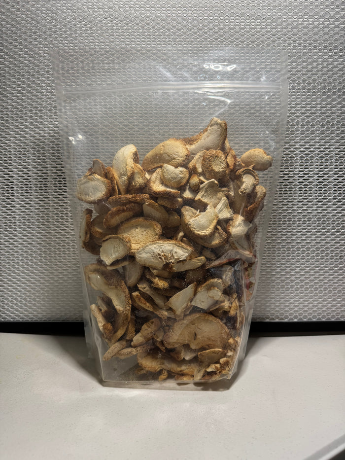 Dried Lion’s Mane Mushroom (Hericium erinaceus) – Florida Grown Whole Fruiting Body