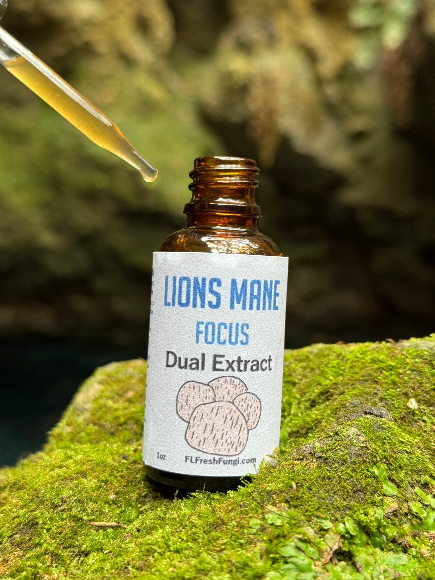 Lions Mane Dual Extract (1oz)