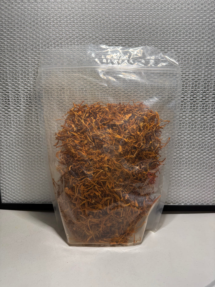 Dried Cordyceps Mushroom (Cordyceps militaris) – Whole Fruiting Body