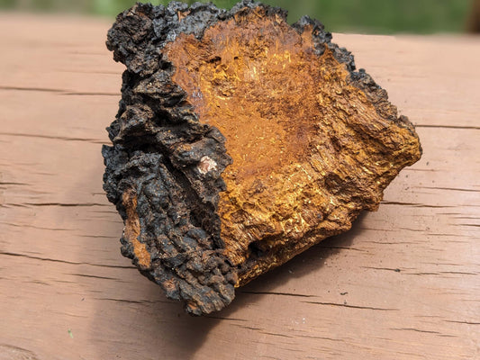 1lb Whole Dried Chaga Mushrooms
