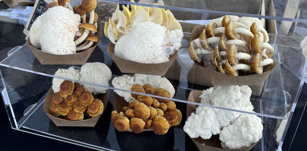 Fresh lion’s mane and oyster mushrooms at the Florida Fresh Fungi market table
