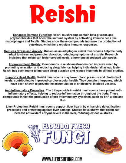 Reishi Dual Extract (1oz)