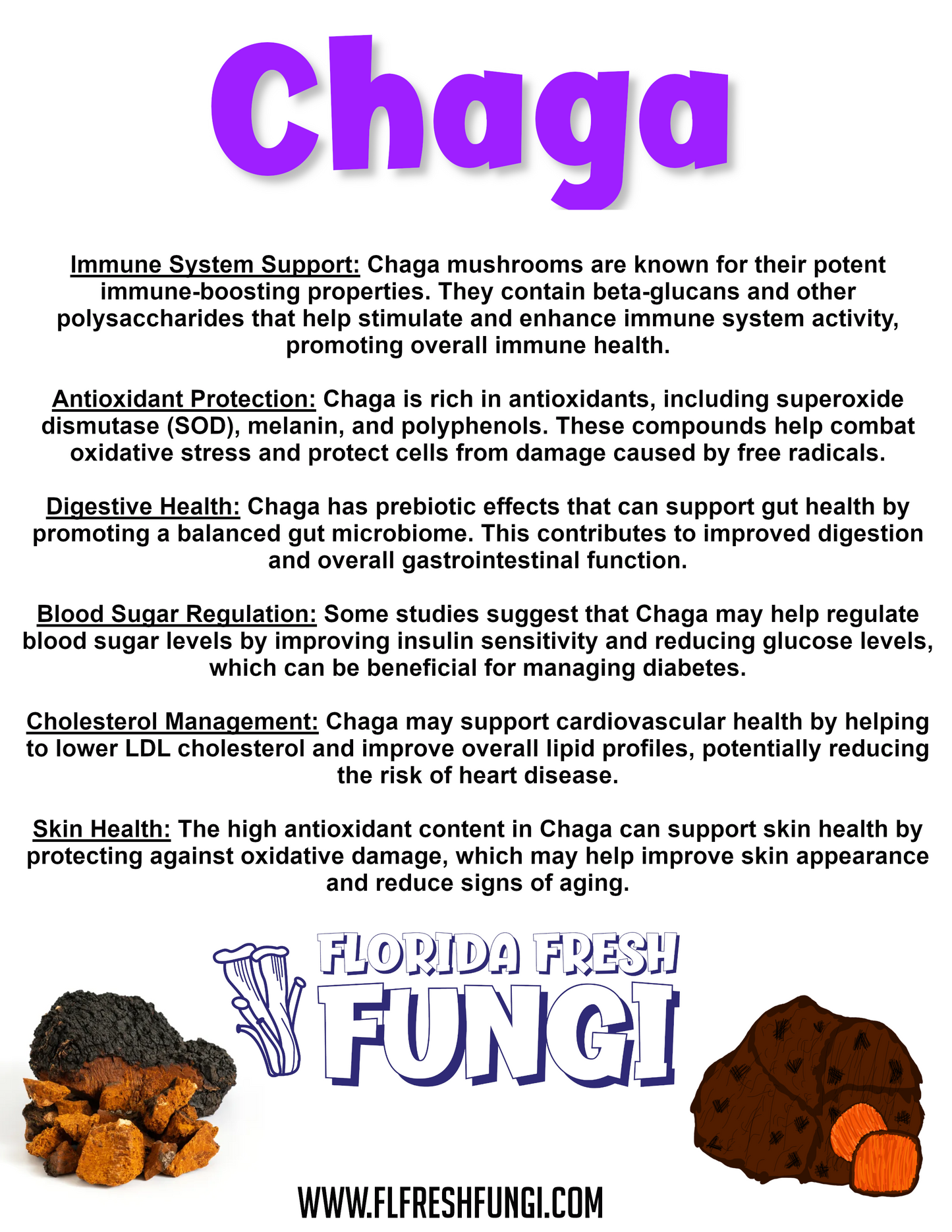 Chaga Dual Extract (1oz)