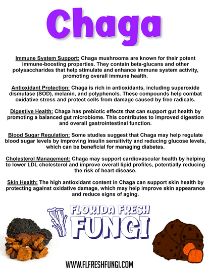 Chaga Dual Extract (1oz)